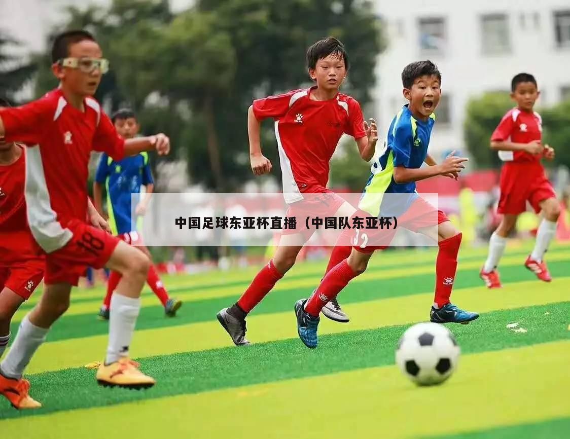 中国足球东亚杯直播（中国队东亚杯）
